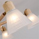 Потолочная люстра Arte lamp MELEPH A4096PL-5BR - фото