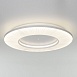 Потолочный светильник Eurosvet 101003 LED - фото