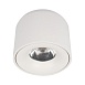 10219 White 4000K Потолочный светильник LOFT IT Tictac - фото