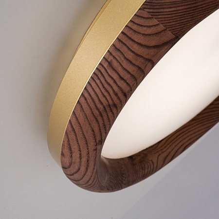 Потолочный Светильник Runis D60 Dark Brown Imperiumloft 219475-26 - фото