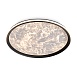 Потолочный светильник Freya FR6220CL-L110W - фото