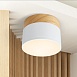 Потолочный Светильник Wood C Imperiumloft 141161-26 - фото