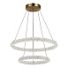 Люстра подвесная ST-Luce Золотистый/Золотистый LED 2*28W 3000 - 6500K SL6110.203.02 - фото