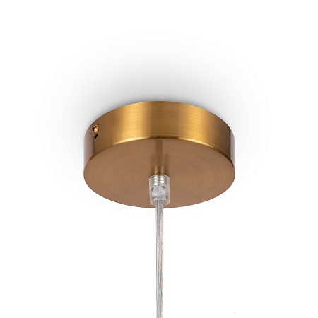 Подвесной светильник Freya Focus FR5220PL-01G6 - фото