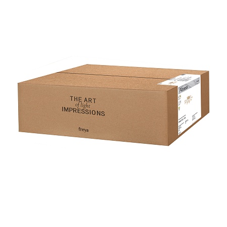 Люстра Freya FR5571CL-12G - фото