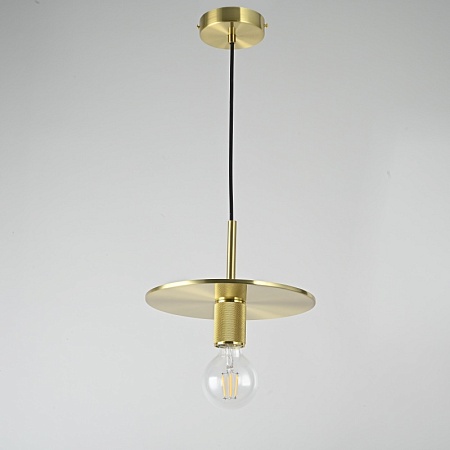 Подвесной Светильник Rh Utilitaire Disk Shade Pendant Brass Imperiumloft 123643-22 - фото