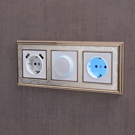 Диммер с подсветкой белый WL01-DM600-LED - фото