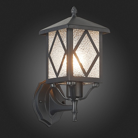 Светильник уличный настенный ST-Luce Черный/Черный, Прозрачный E27 1*60W SL084.401.01 - фото