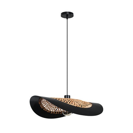 Подвесной светильник Arte Lamp WOODSTOCK A7059SP-1BK - фото