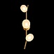 10212W Gold Настенный светильник LOFT IT Sakura - фото