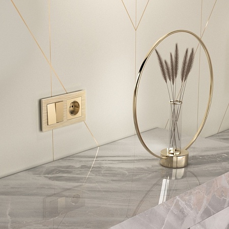 Розетка с заземлением и шторками шампань WL11-SKGS-01-IP44 - фото