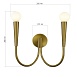 Светильник настенный ST-Luce Латунь E14 2*60W SL1243.301.02 - фото