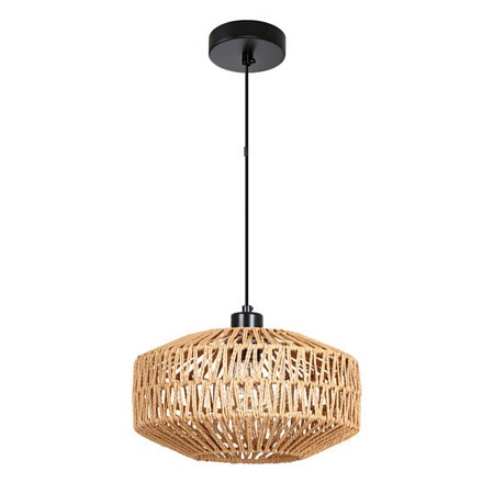 Подвесной светильник Arte Lamp BRUSHWOOD A7087SP-1BK - фото