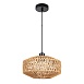 Подвесной светильник Arte Lamp BRUSHWOOD A7087SP-1BK - фото