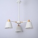 Потолочная Люстра На Штанге Natura A White 3 Imperiumloft 101826-26 - фото