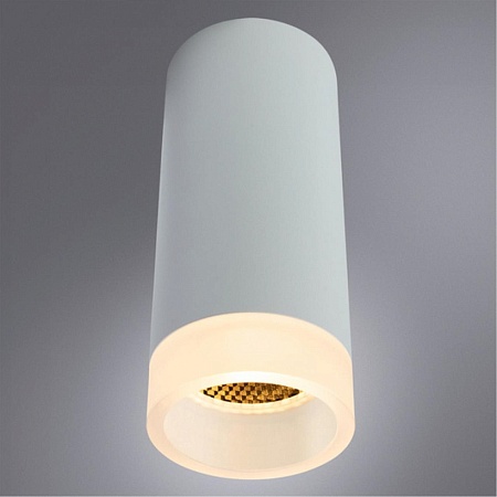 Точечный накладной светильник Arte Lamp OGMA A5556PL-1WH - фото