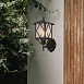 Светильник уличный настенный ST-Luce Черный/Черный, Прозрачный E27 1*60W SL084.401.01 - фото