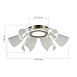 Светильник потолочный ST-Luce Никель/Прозрачный LED 1*20W 4000K SL6235.102.20 - фото