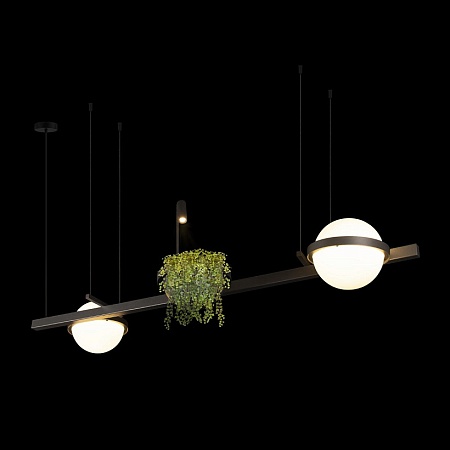 10121/D Dark grey Подвесной светильник LOFT IT Jardin - фото