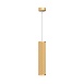 Подвесной светильник Technical Focus Design P038PL-01G - фото