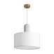 Подвесной светильник Freya FR5491PL-01BS - фото