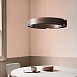 Подвесной Кольцевой Светильник Range 1 D55 Light Wood Imperiumloft 195537-26 - фото