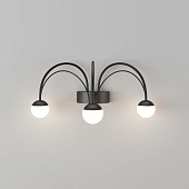 Настенный светильник Eurosvet 90031/3 черный