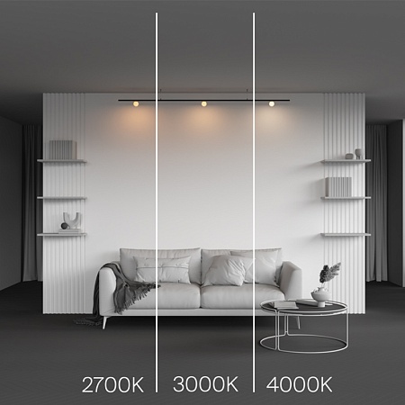 Трековый светильник Technical Luna TR185-1-3W2.7K-B - фото