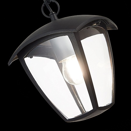 Светильник уличный подвесной ST-Luce Черный/Черный, Прозрачный E27 1*40W SL081.403.01 - фото