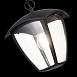 Светильник уличный подвесной ST-Luce Черный/Черный, Прозрачный E27 1*40W SL081.403.01 - фото