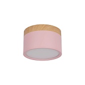 10162 Pink Накладной светильник LOFT IT Grape