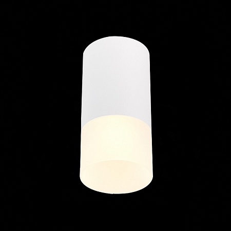 Светильник потолочный Белый GU10 1*50W IP20 D64xH131 220V Без ламп ST100.512.01 - фото