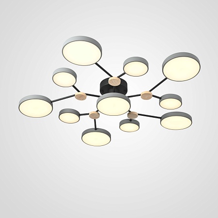 Потолочная Люстра Gamma D102 Grey Imperiumloft 223767-23 - фото