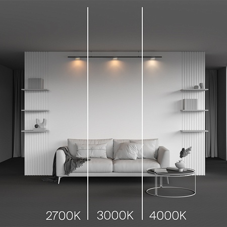 Трековый светильник Technical Zon TR189-1-12W2.7K-BW - фото