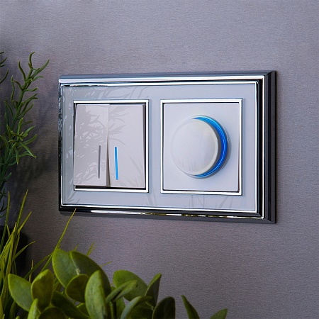 Диммер с подсветкой белый WL01-DM600-LED - фото