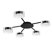 Потолочная люстра Arte Lamp ALIUS A8042PL-5BK