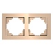 Рамка 2-местная, стекло, STEKKER, GFR00-7002-02 , серия Катрин, шампань - фото
