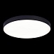 Светильник потолочный Черный LED 1*96W 4000K 8 640Lm Ra>85 120° IP20 D600xH55 185-265V ST606.442.96 - фото