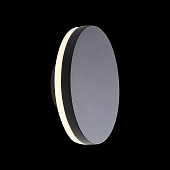 Светильник уличный настенный ST-Luce Черный кварцевый LED 1*12W 4000K SL087.401.01