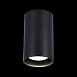 Светильник потолочный Черный LED 1*20W 3000K 1 600Lm Ra>90 60° IP44 D95xH150 220-265V ST157.432.20 - фото