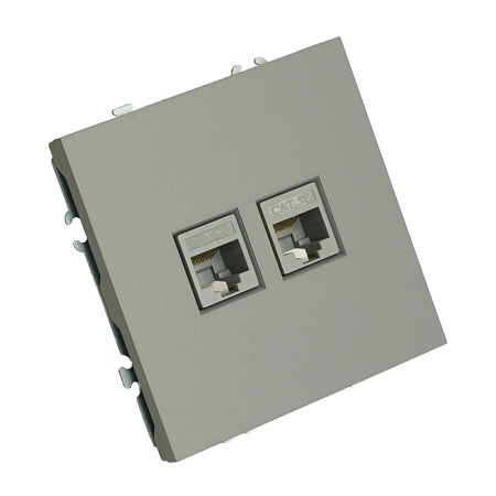 Розетка компьютерная 2-местная RJ-45 (механизм), STEKKER, серия Эмили, RST00-5111-10, платиново-серый, soft touch - фото