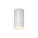 Потолочный светильник Outdoor O500CL-L5W3K - фото