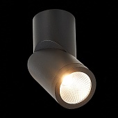 Светильник потолочный Черный LED 1*10W 3000K 800Lm Ra&gt;90 38° IP44 D62xH151 165-265V ST650.432.10
