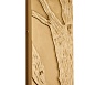 Бра Favourite 4127-1W - фото