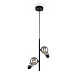 Подвесной светильник Freya Evidence  FR5372PL-02B - фото