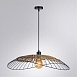 Подвесной светильник Arte Lamp WOODSTOCK A7061SP-1BK - фото