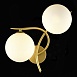Светильник настенный Золотистый/Белый G9 LED 2*5W SLE2210-201-02 - фото