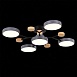 Светильник потолочный Серый/Серый LED 5*12W 3000K/4500K/6000K SLE6006-702-05 - фото