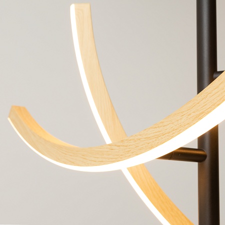 Подвесной светильник Maytoni MOD428PL-L20BK - фото