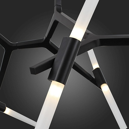 Люстра потолочная ST-Luce Черный/Белый G9 10*5W SL947.402.10 - фото